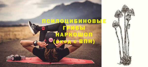 мяу мяу мука Абинск