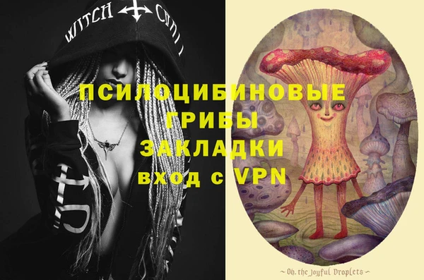 молекула духа Алексин