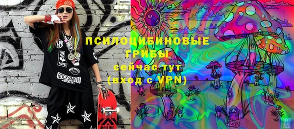 молекула духа Алексин
