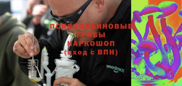 spice Абаза