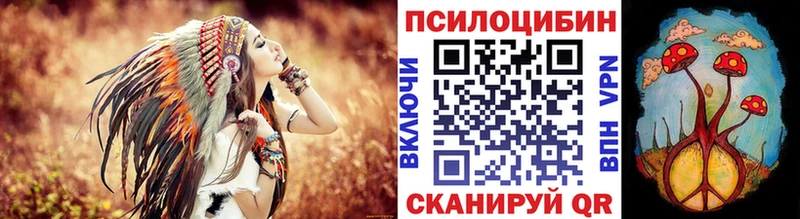 hydra ONION Комсомольск-на-Амуре Псилоцибиновые грибы Psilocybe