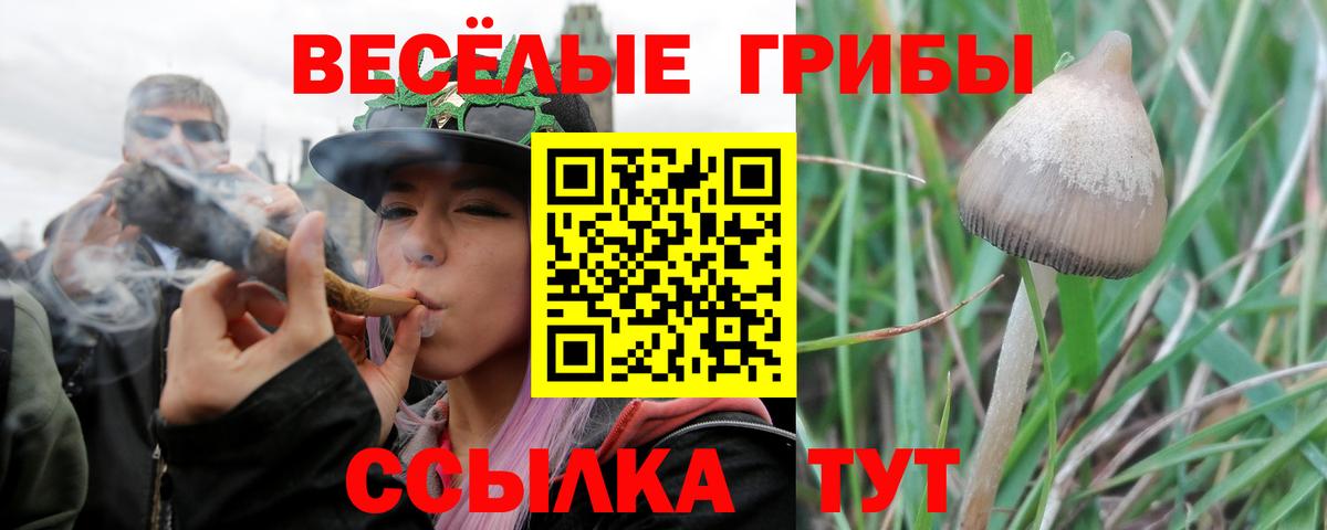Псилоцибиновые грибы Psilocybine cubensis  где купить наркоту  Комсомольск-на-Амуре  Вход с VPN 