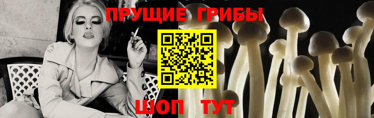Галлюциногенные грибы GOLDEN TEACHER Комсомольск-на-Амуре